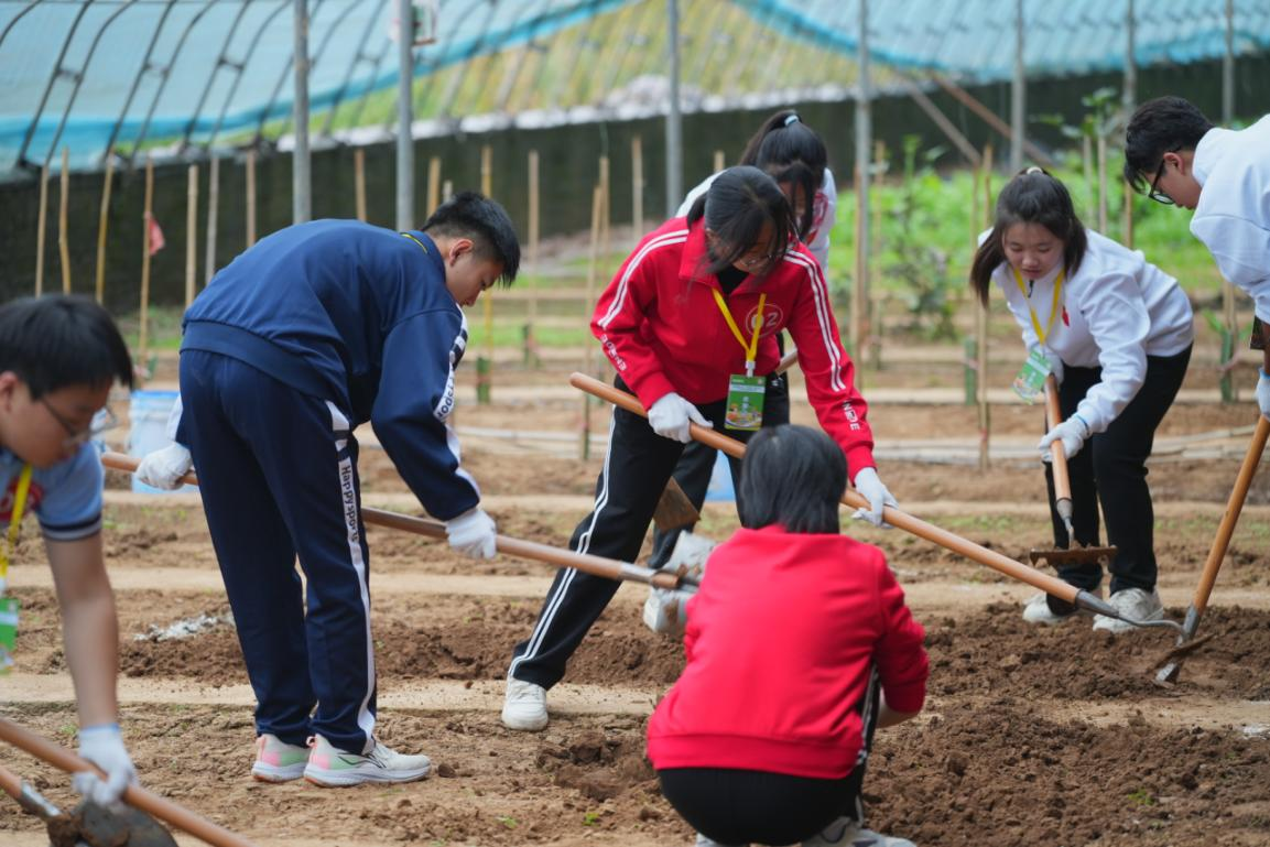 河南省第三届“五育融合 劳动先行”中小学生劳动技能大赛举办 河南省第三届“五育融合 劳动先行”中小学生劳动技能大赛举办